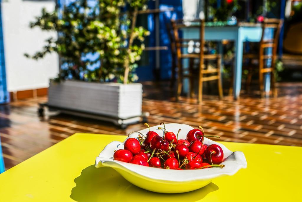Apartments Novka إيزولا المظهر الخارجي الصورة